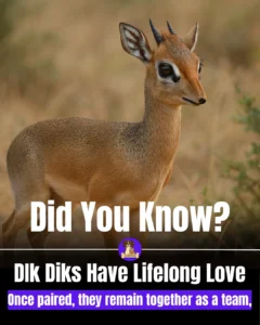 80f1ee09-65cd-4ebf-8076-71d3cb4abcef