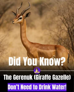 c5d8f5d0-9755-4e60-af66-9d2deeaa56f1