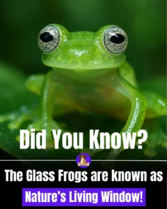 c7f7b2d4-fecf-4869-b061-548f9062c91c