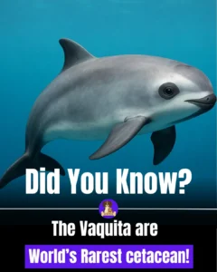 e18272ff-08fd-41a8-a584-12c733391c0d