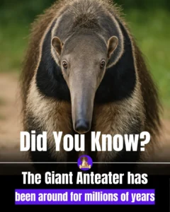 edf46fd3-337d-4321-932c-5e4f0a5eb692