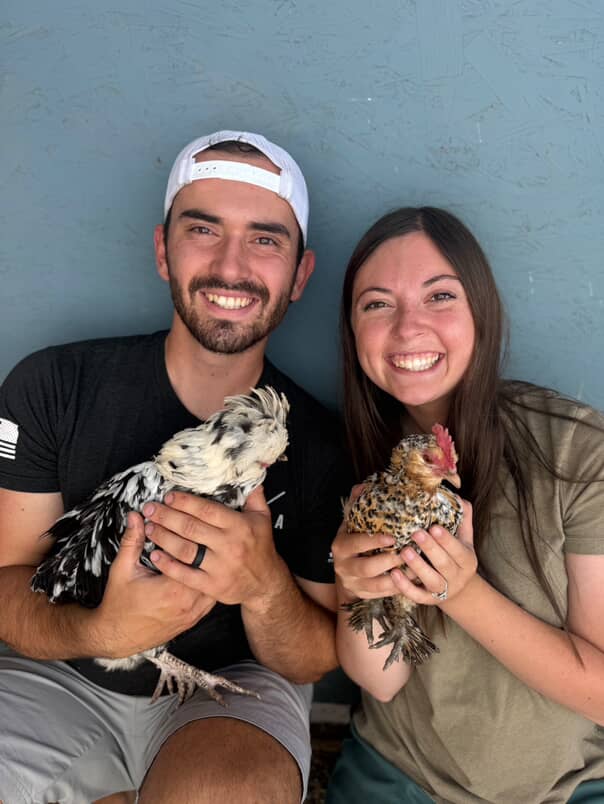 Lauren Ambrose, hens_and_honeybees_, Chicken