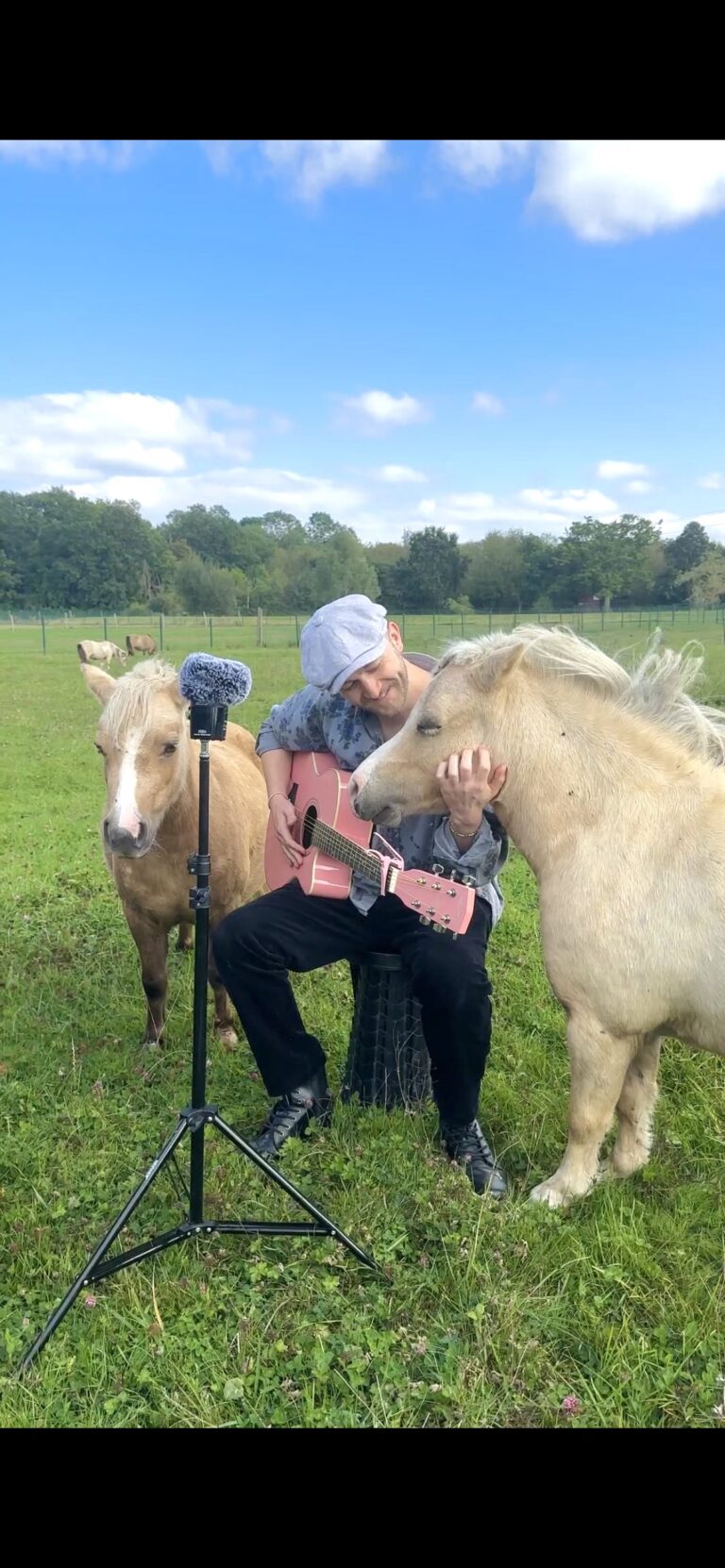 Plumes, Animal Singer