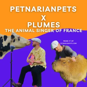 Plumes instagram post