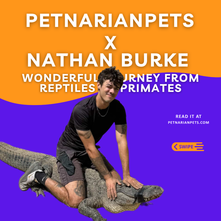 Nathan Burke, Reptiles, petnarianpets