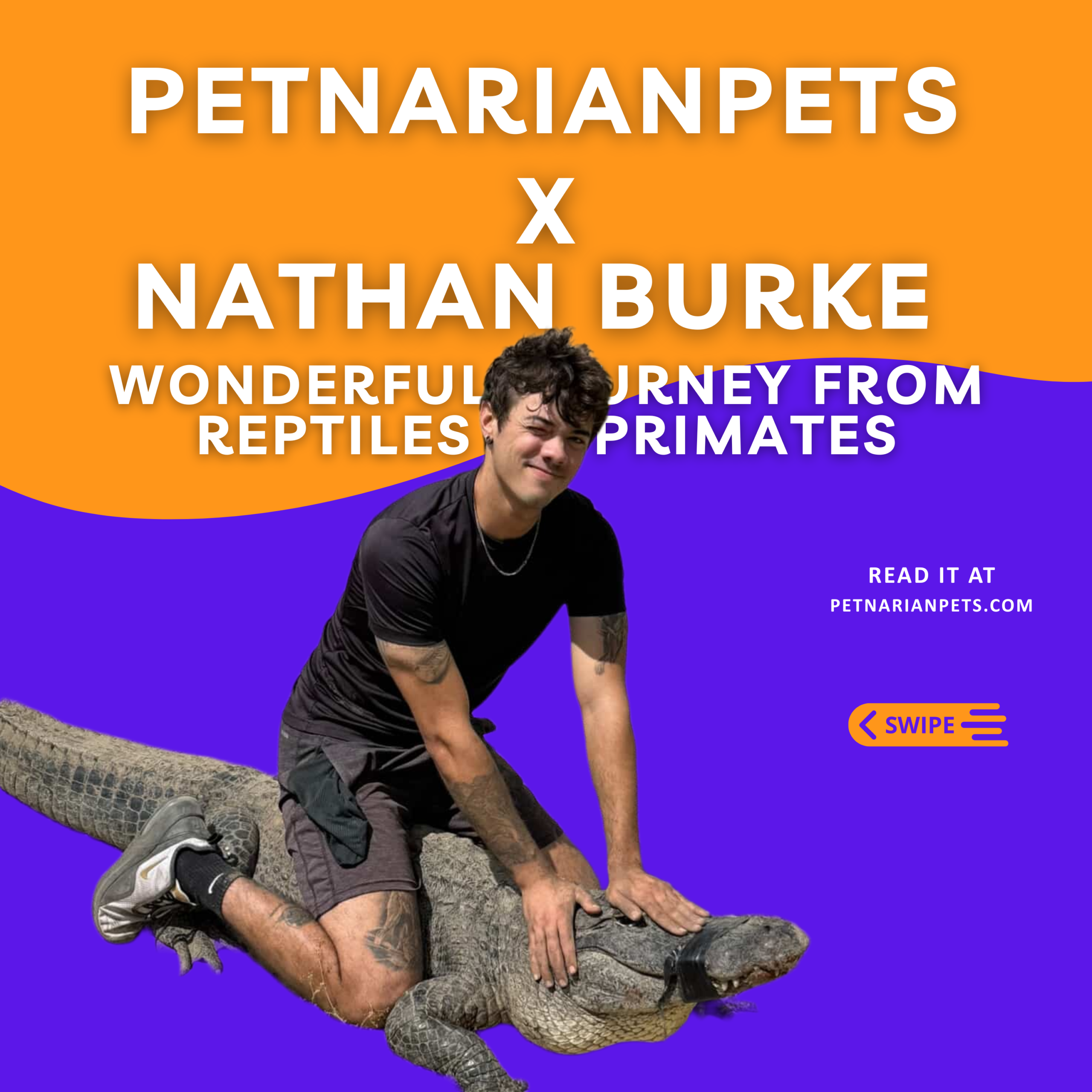 Nathan Burke, Reptiles, petnarianpets