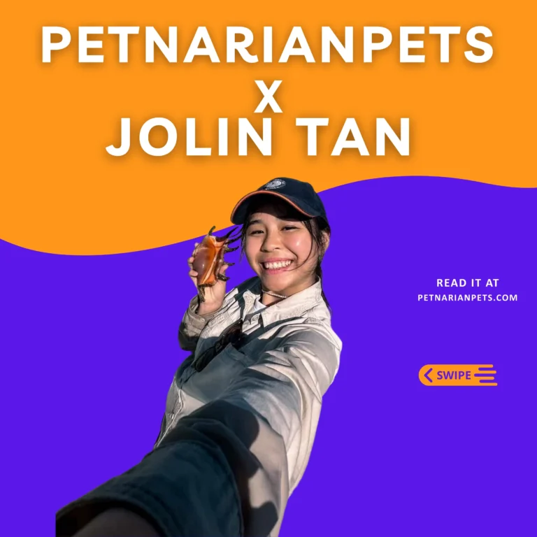 Jolin Tan, Nudibranch, The iPhone Film, Singapore Wildlife, PetNarianPetsx Jolin Tan