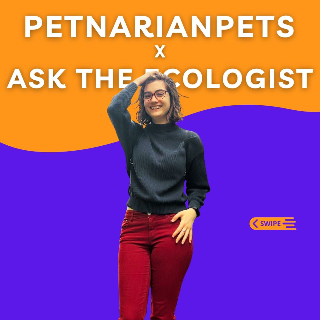 Ask the Ecologist, Milica Bojović, PetNarianPets x Melica