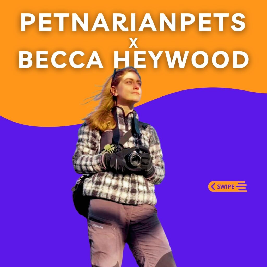 Birds with Becca, becca heywood, PetNarianPets x Becca Heywood